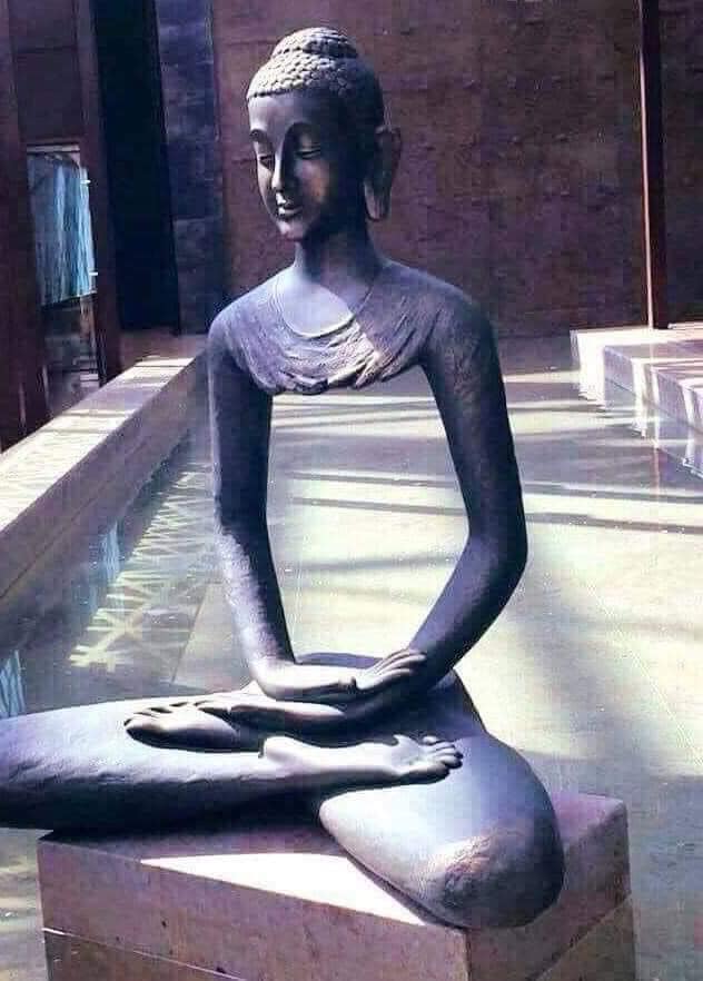 176449339 1761004917439484 4793676737168138768 n