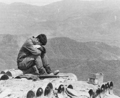 Cuocchien Linh CodonB