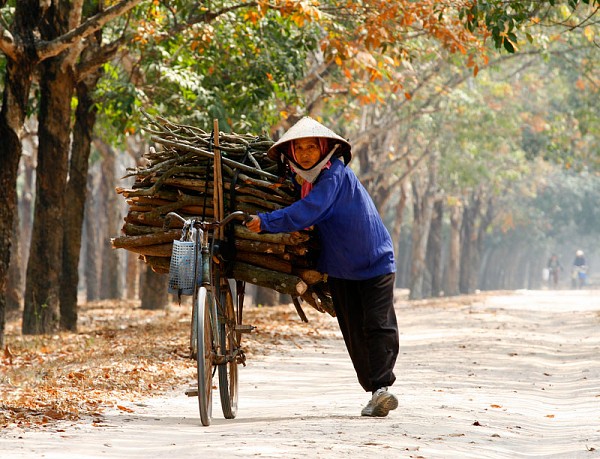 DanBaLayCuiTrongVuonCaosu