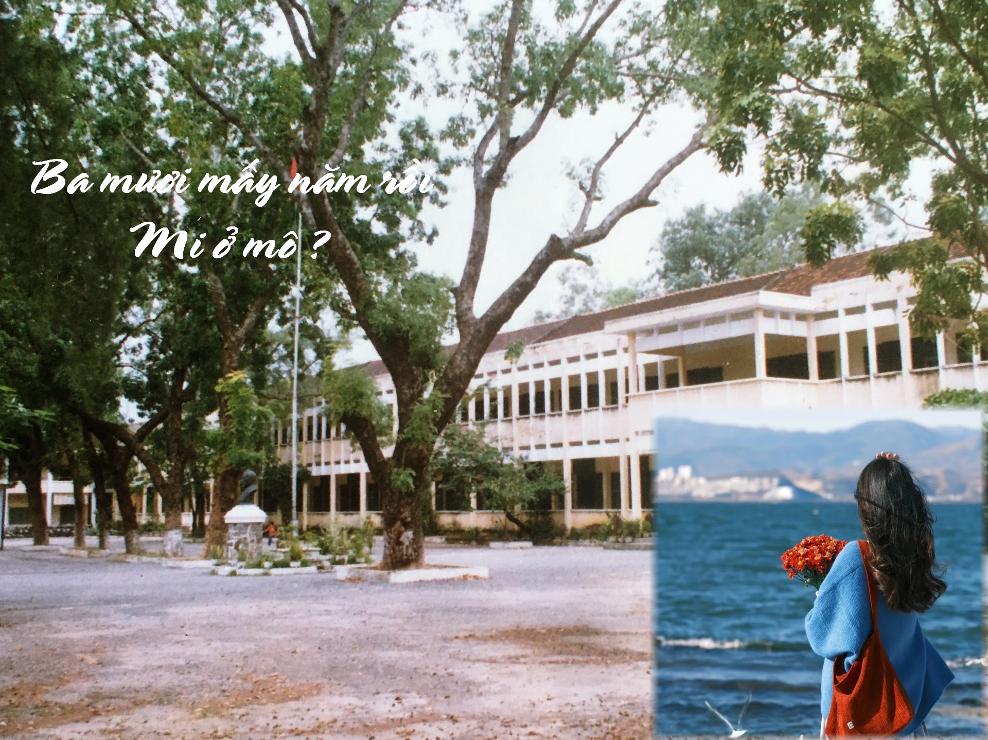 BamuoimaynamroiMiomo