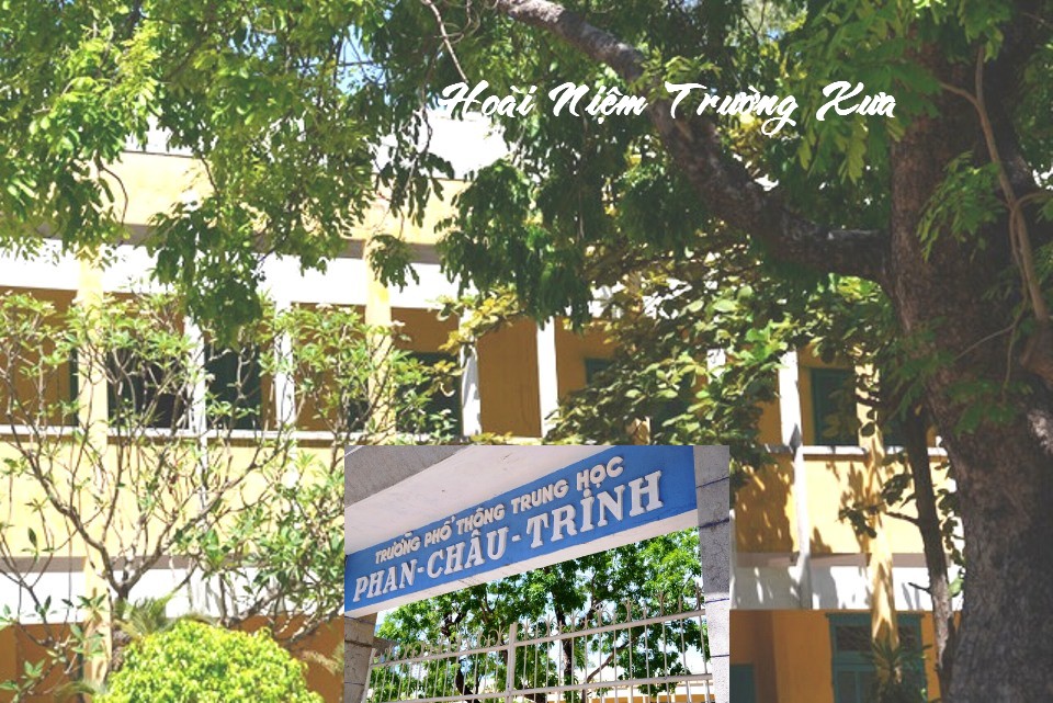 HoaiNiemTruongua