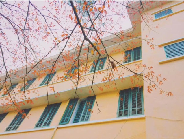 Nắng Sân Trường