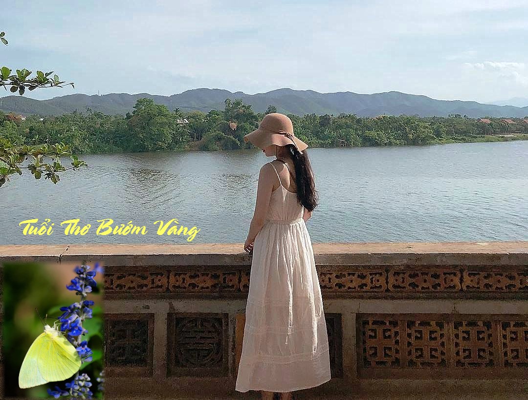 TuoiThoBuomVang