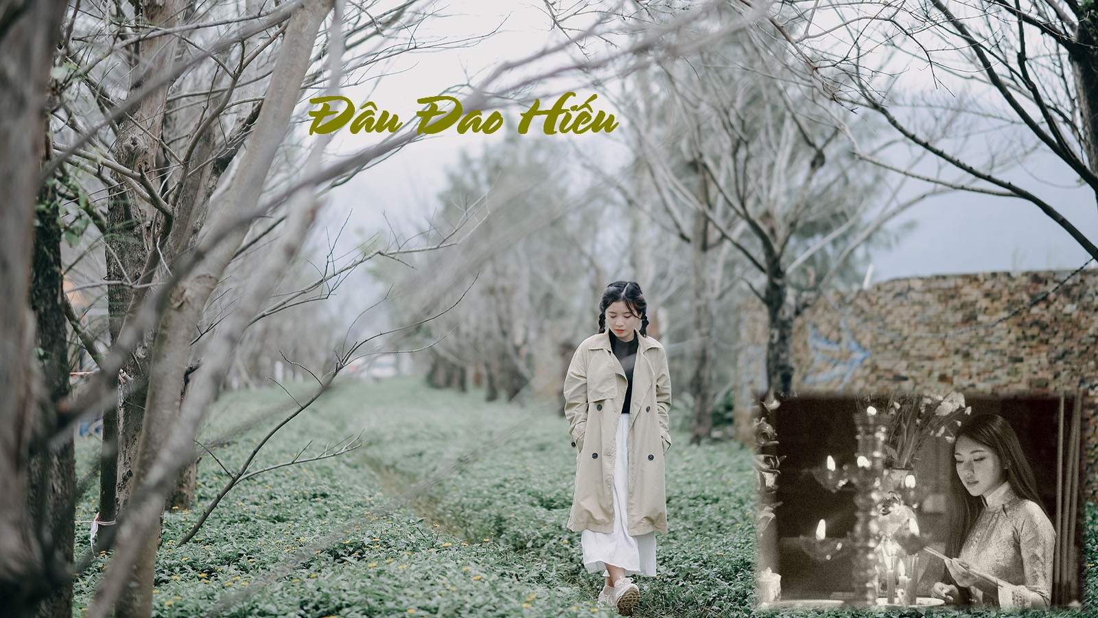 DauDaoHieu 01