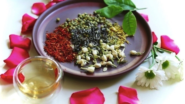 cac loai tra hoa kho bo ich