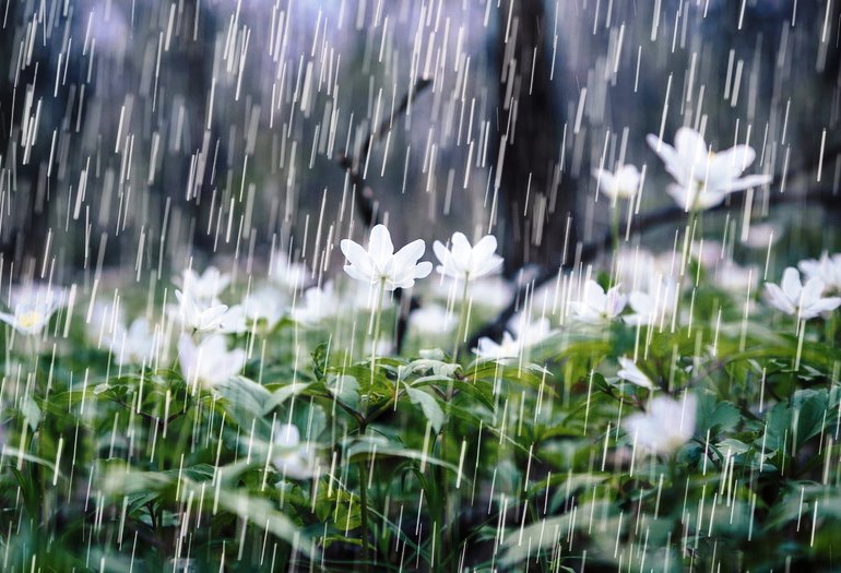 hinh anh troi mua dep nhat 015500593R