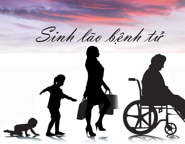 kiep nguoi sinh lao benh tu