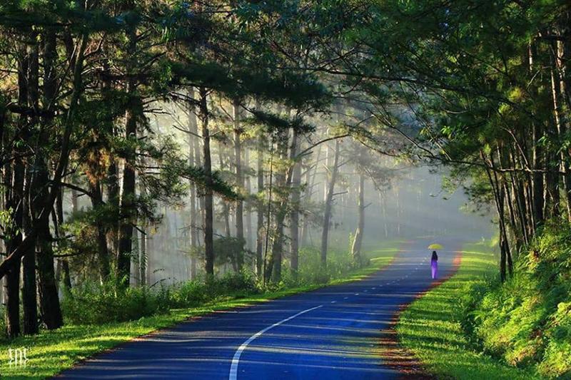 toi tro ve day voi con duong xua 12