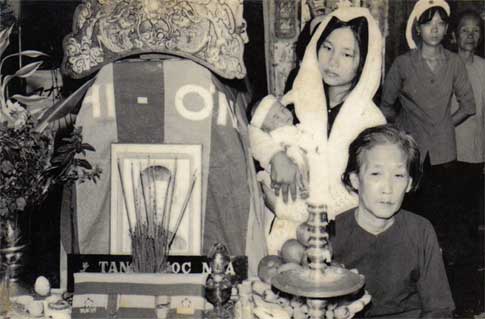 Cánh Hoa Thời Loạn