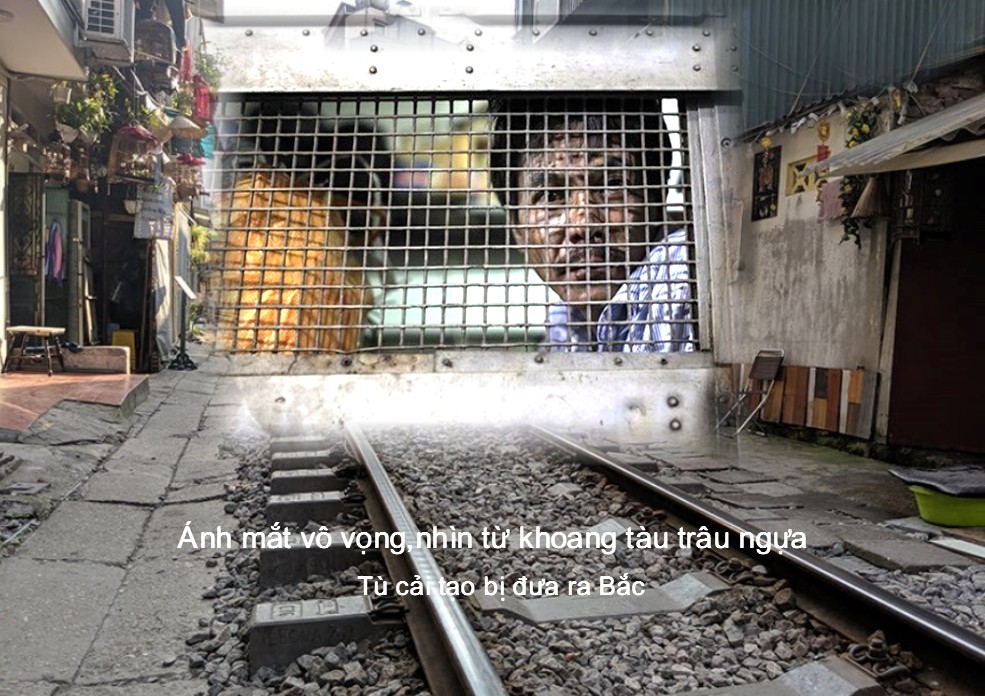 TuCaiTaoBiDuaRaBacVN