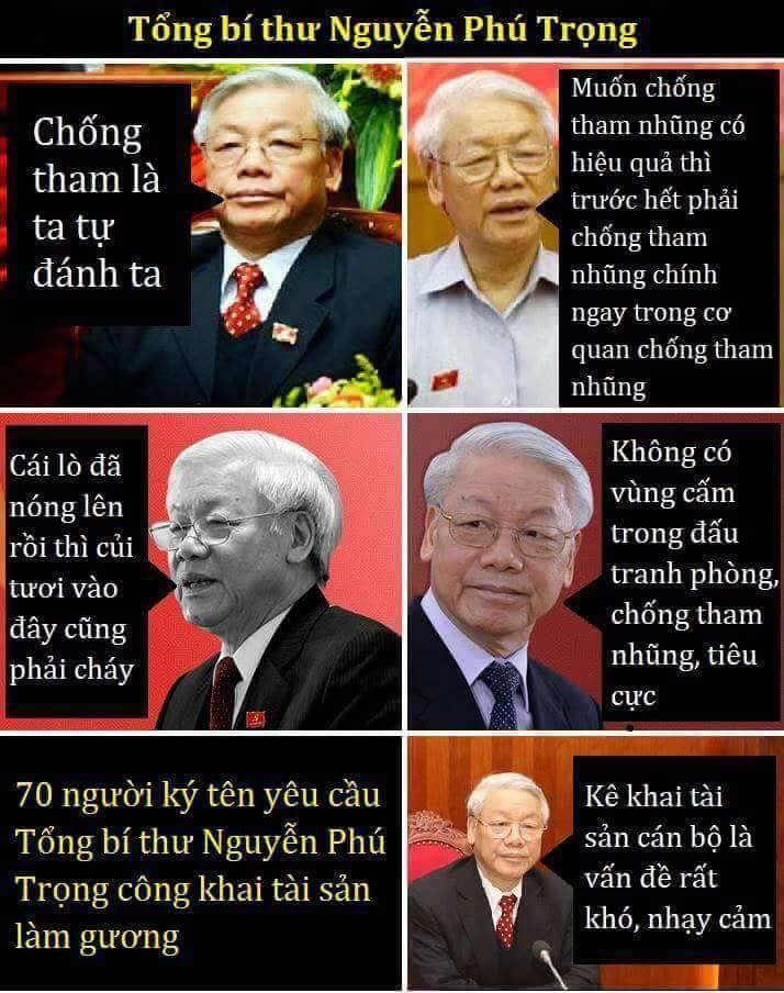 NguyenPhuTrong n