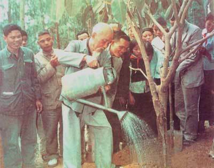trong cay va trong nguoi nhu loi bac dan