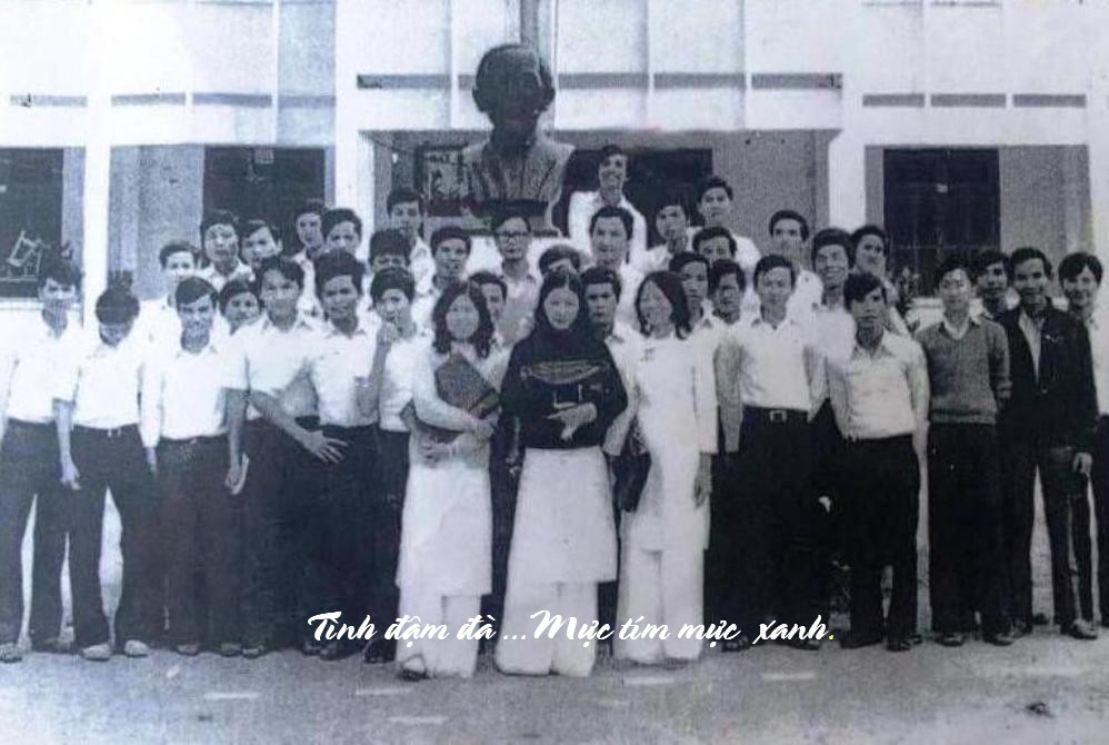 TinhDamDa MucTimMucXanh2