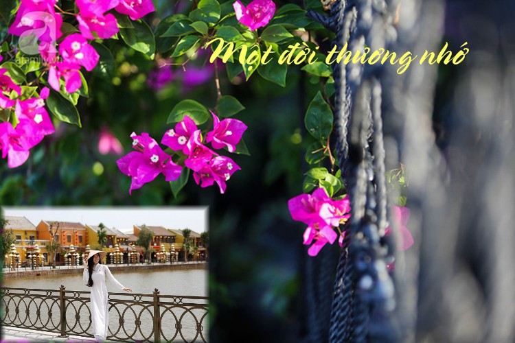 Mot doi thuong nho 01B